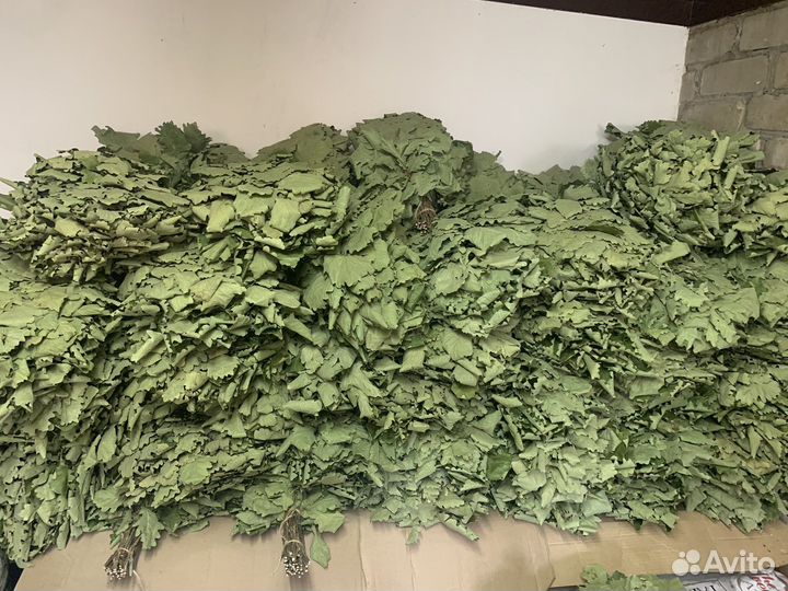 Веники банные дубовые