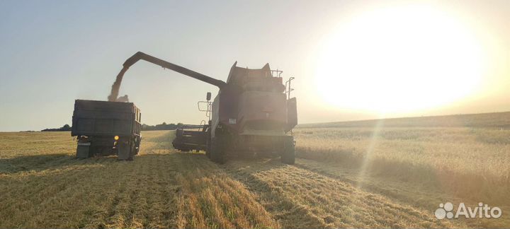 Уборка урожая комбайном