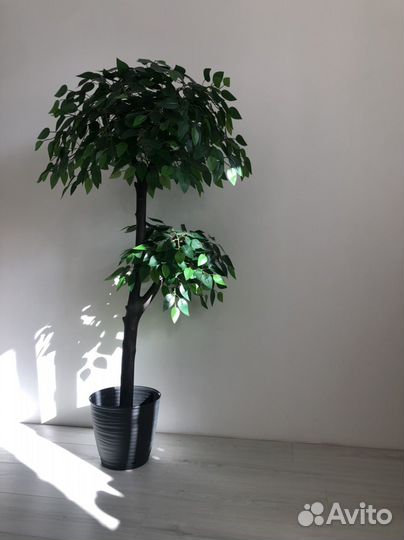 Фикус зеленый искусственное дерево