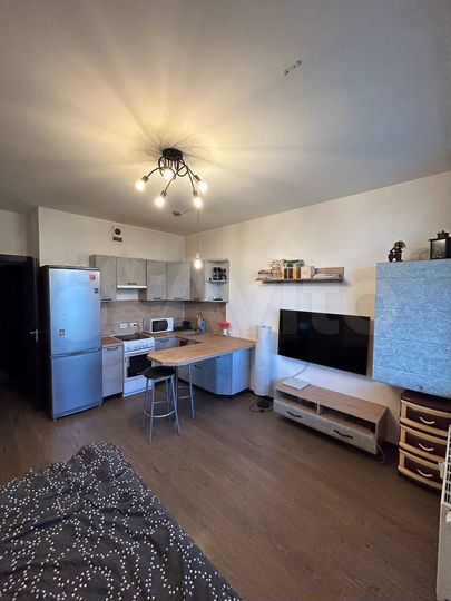 Квартира-студия, 25,5 м², 16/17 эт.