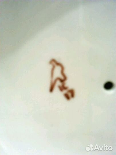 Близнецы на прогулке