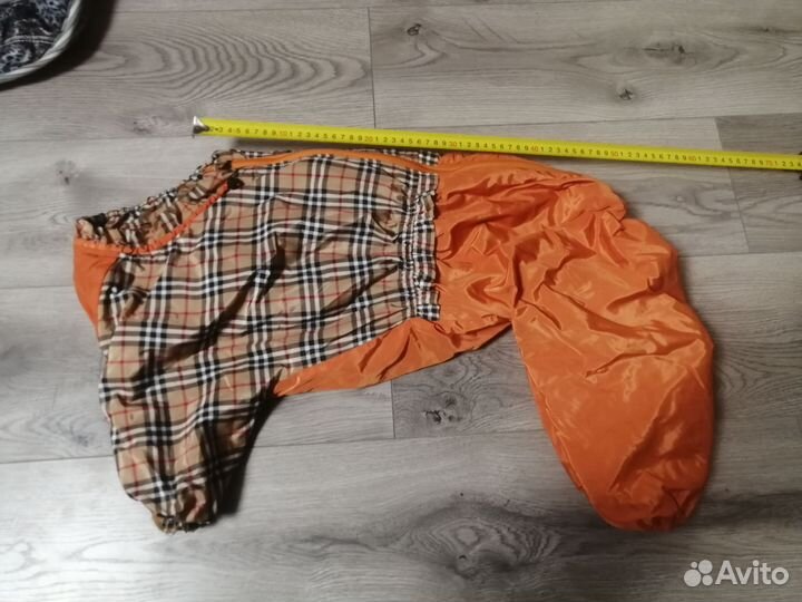 Одежда для средних собак