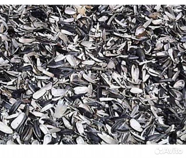 Лузга подсолнечника