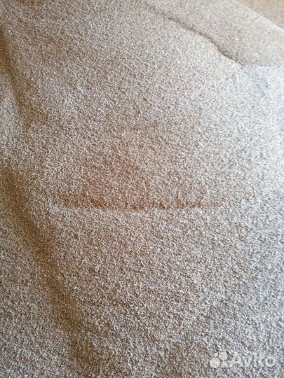 Семена мягкой пшеницы