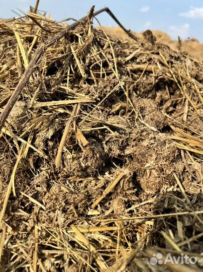 Конский навоз самовывоз