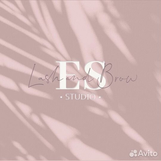 Администратор бровист