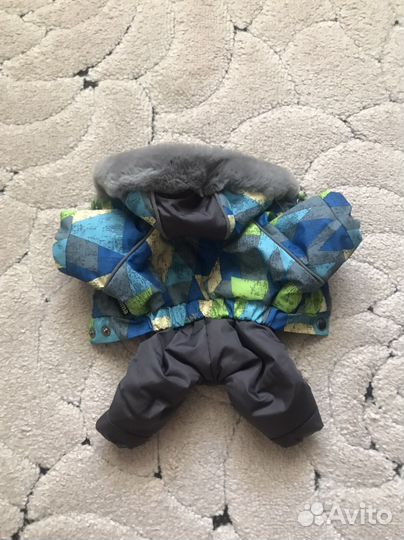 Одежда для собак