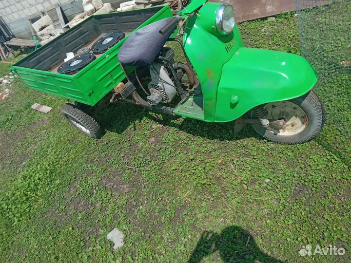 Продам муравей