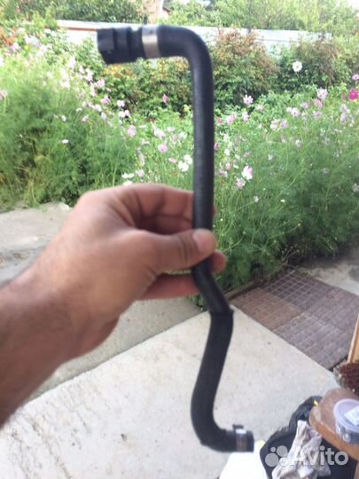 Бочок гура в комплекте