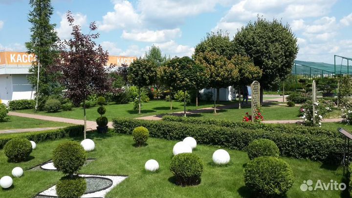 Разнорабочий выплаты каждый день