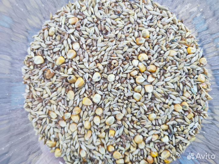 Комбикорм для крс,кур, свиней