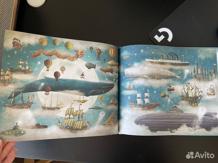 Книги-картинки братьев Фэн Поляндрия