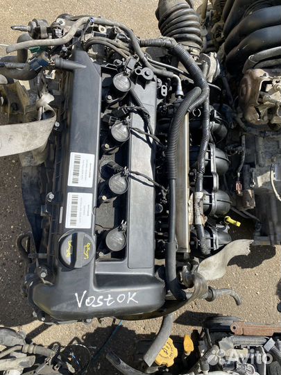 Двигатель qqdb Ford Focus qqdb-8A36041