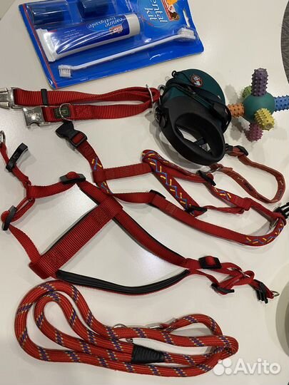 Амуниция для собак