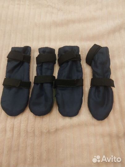 Олежда для Французского Бульдога