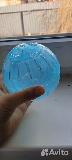 Шарик для хомячки прогулок