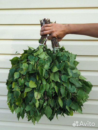 Банные веники