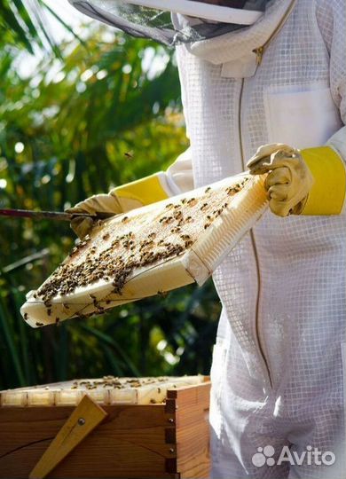 Натуральный мед с семейной пасеки