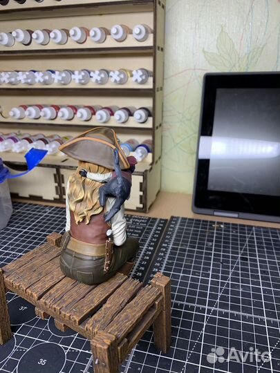 Модель Пиратка