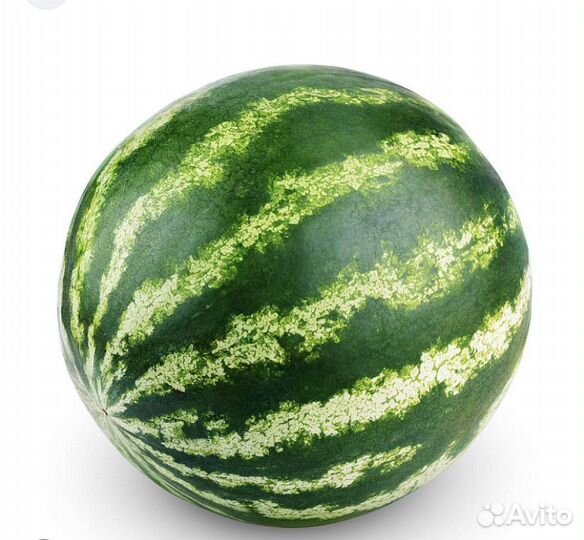 Арбуз оптом