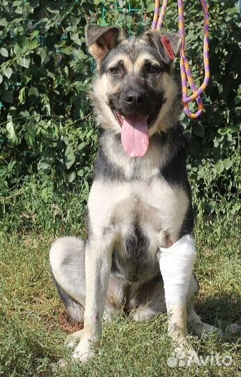 Милаха ищет тех, кого будет любить и доверять