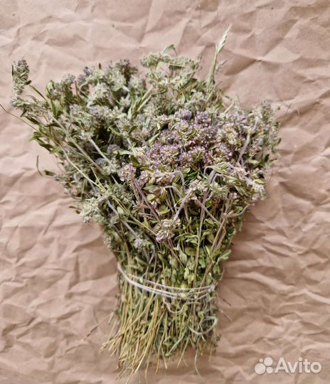 Травы для бани