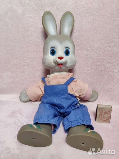 Заяц Степашка