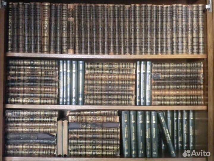 Энциклопедический словарь Брокгауза и Ефрона. 60т