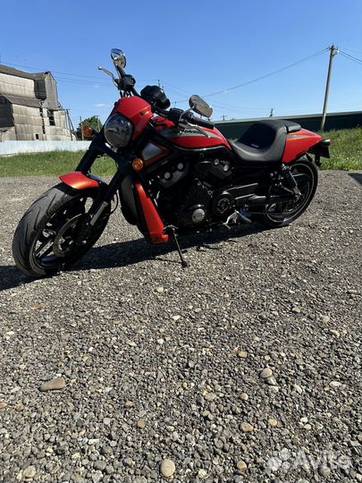 Harley-davidson night ROD 1250. (V-ROD) 2014гв