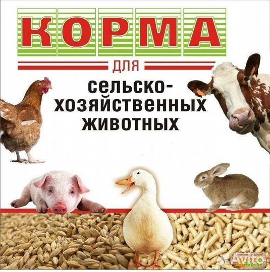 Корма для животных