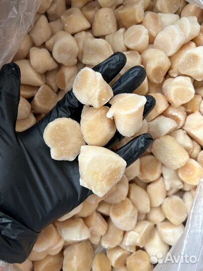 Филе Сахалинского Гребешка