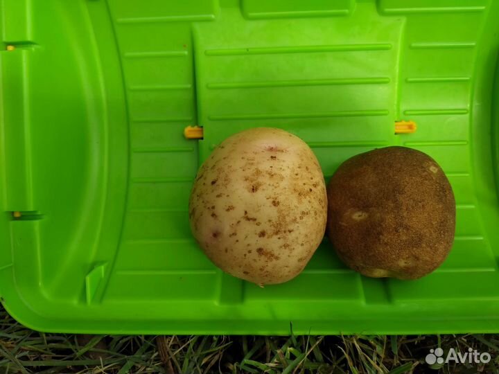 Продукты питания