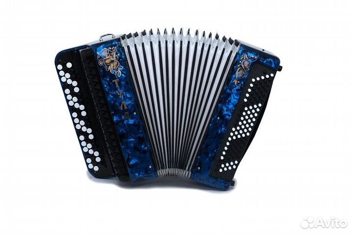 Баян ученический двухголосный Тула-210 55х100-II(С