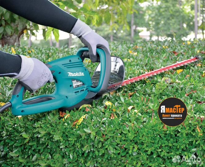 Аренда садового инструмента