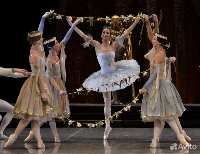 Билеты в Большой театр. Раймонда