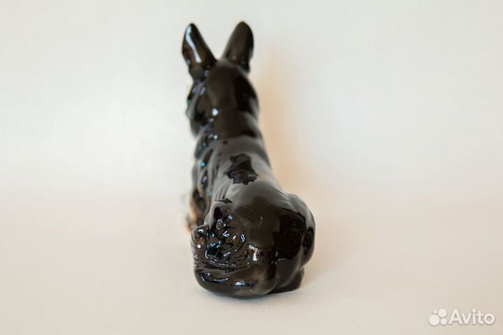 Овчарка гдр