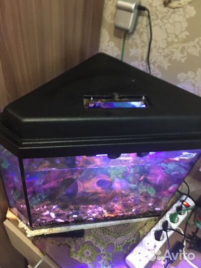 Аквариум