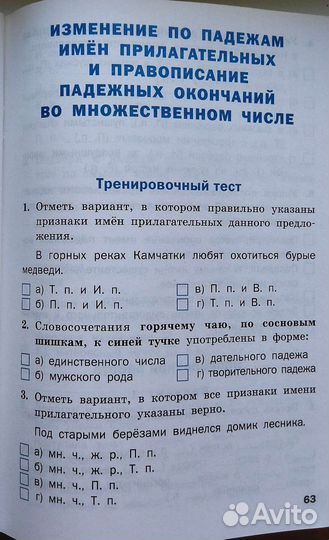 Русский язык проверочные и контрольные работы