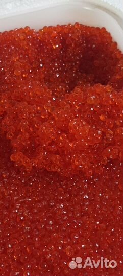 Икра красная Камчатка 2023