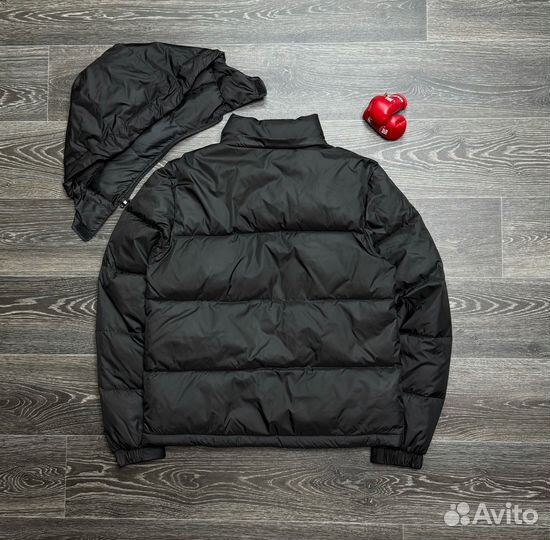 Демисезонная stussy