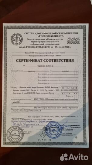 Пшеница, рожь