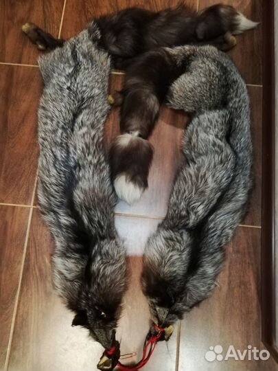 Шкура чернобурки