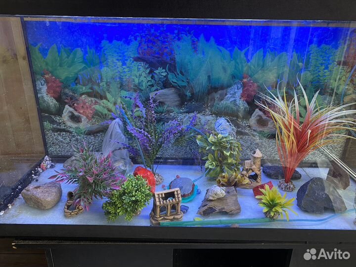 Аквариум с тумбой 200 л