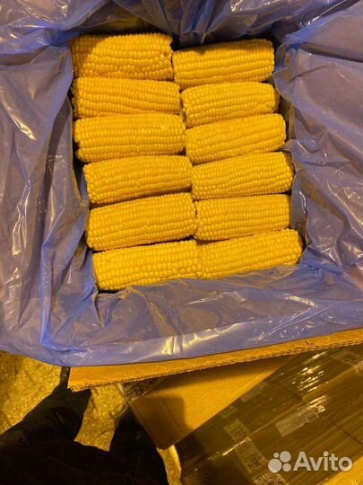 Кукуруза в початках замороженная