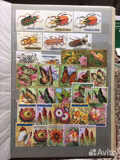 Кролекция Фауны Бурунди Африка