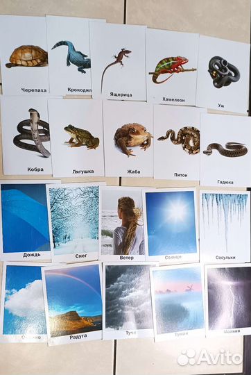 Карточки домана 210 шт