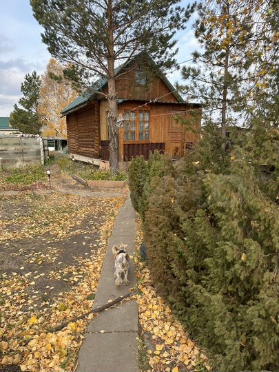 Дача 30 м² на участке 12 сот.