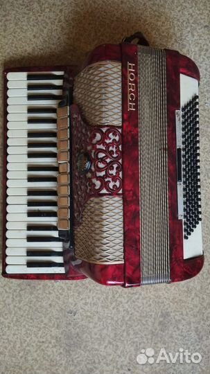 Аккoрдeoн ноrсн