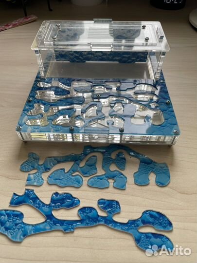 Муравьиная ферма