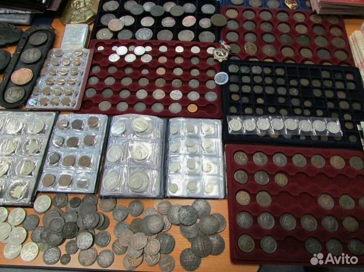 Коллекция - что с ней делать Консультации и помощь